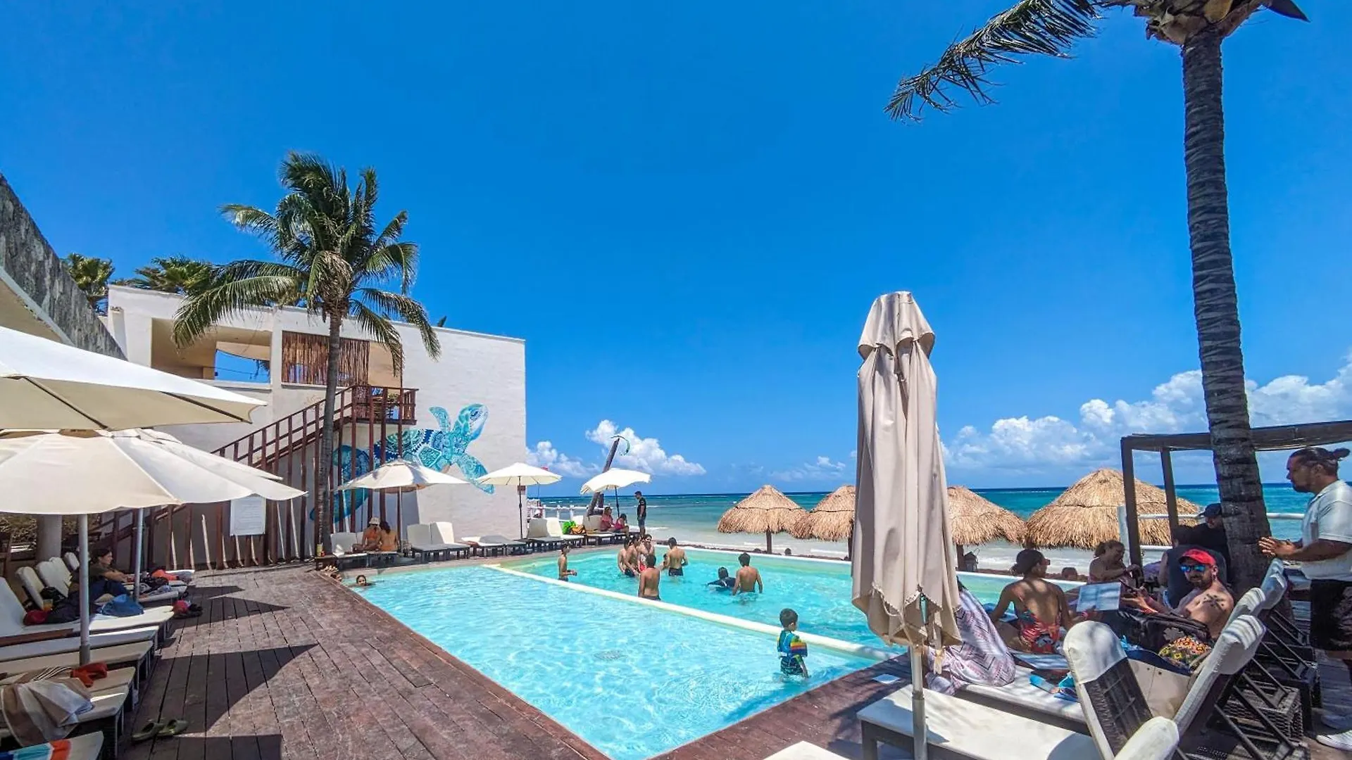 A8 Beachside Bliss Family Hawaiian Themed Quad Kitchen Studio Ac Playa del Carmen Messico