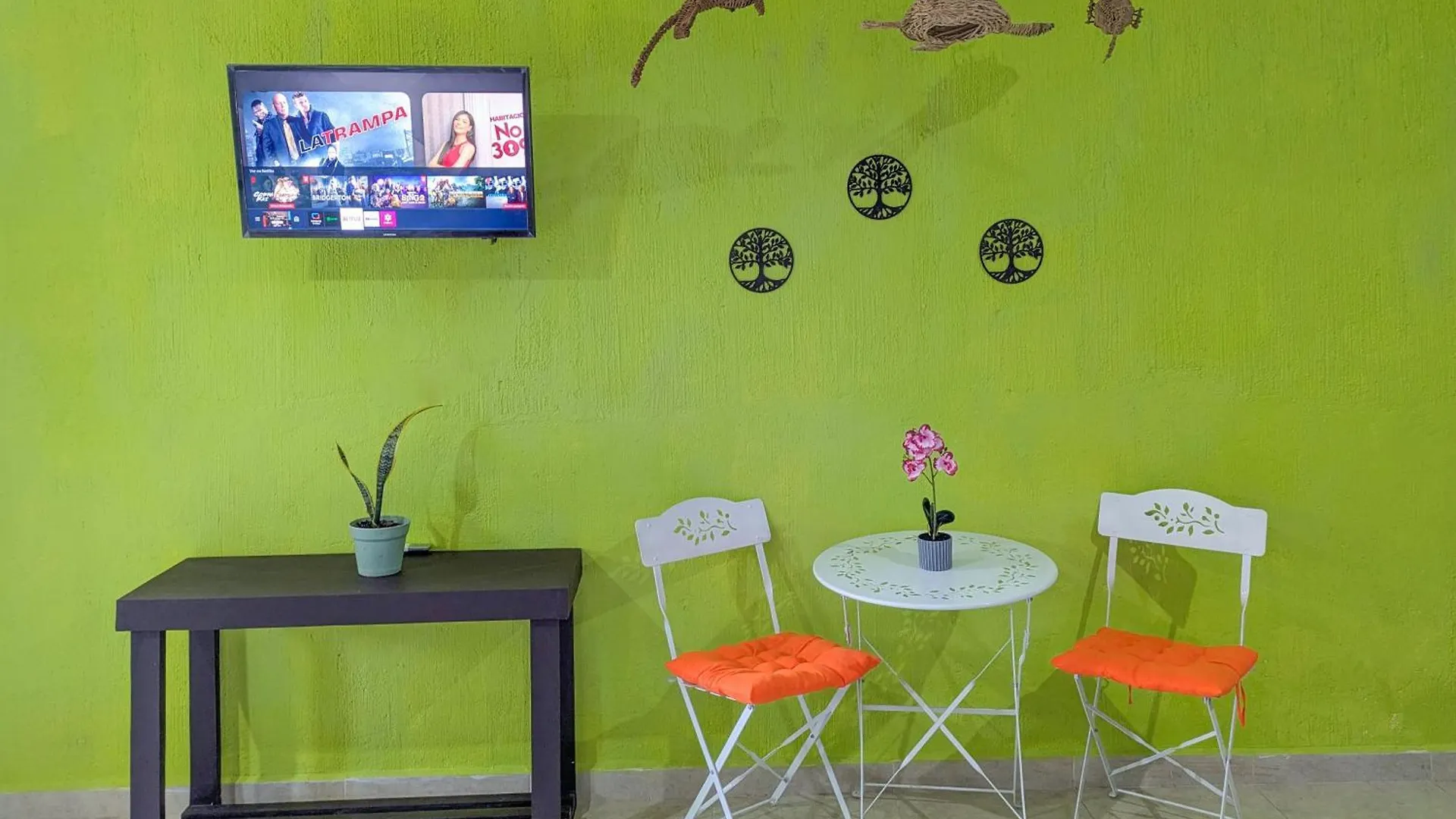 Apartment A8 Beachside Bliss Family Hawaiian Themed Quad Kitchen Studio Ac Playa del Carmen Mexico